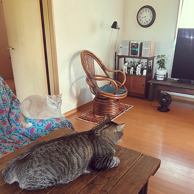 mikan161さんの実例写真