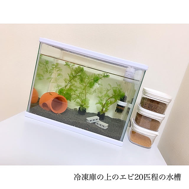 chaluさんの実例写真
