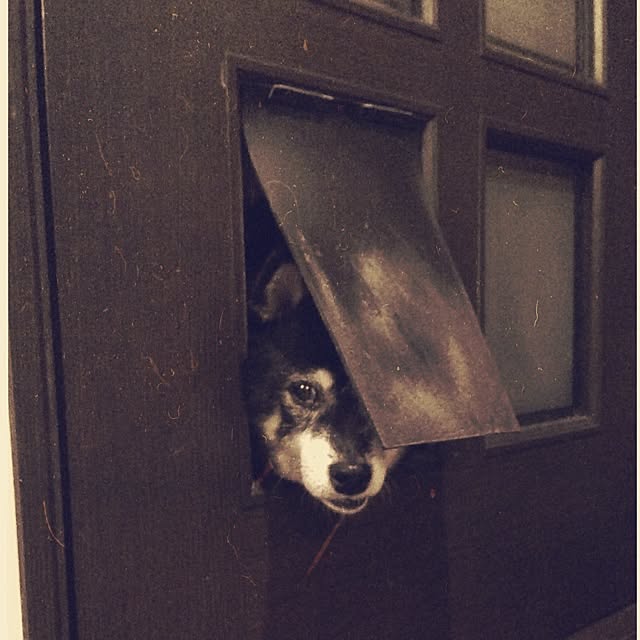 jnkaiさんの実例写真