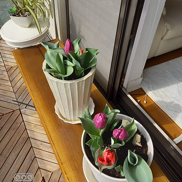 hakata-baさんの部屋