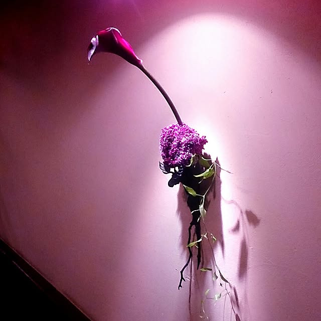 Gravityさんの実例写真
