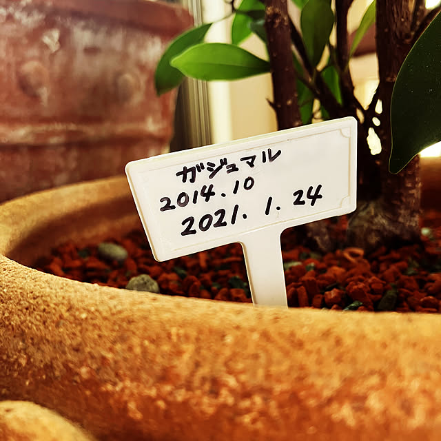 koshiregutyoさんの部屋