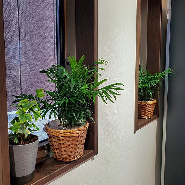 muku+maroさんの部屋