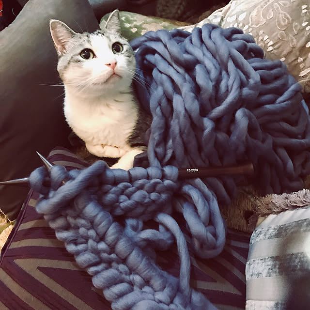 emmyyさんの実例写真