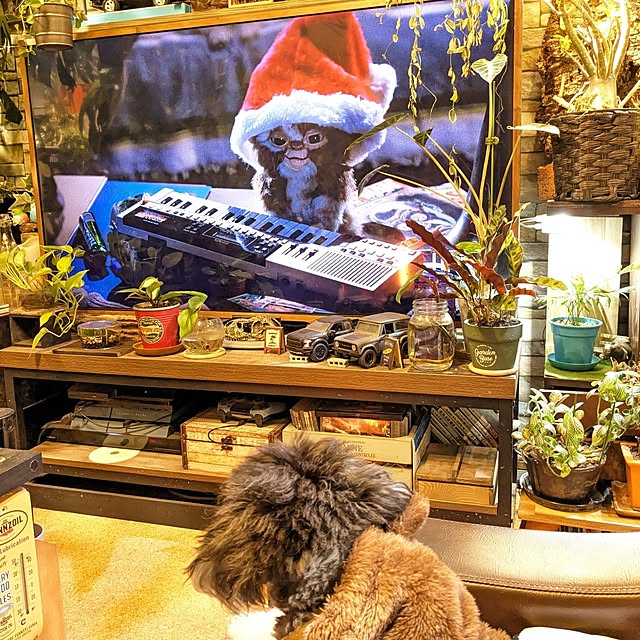 GINさんの部屋