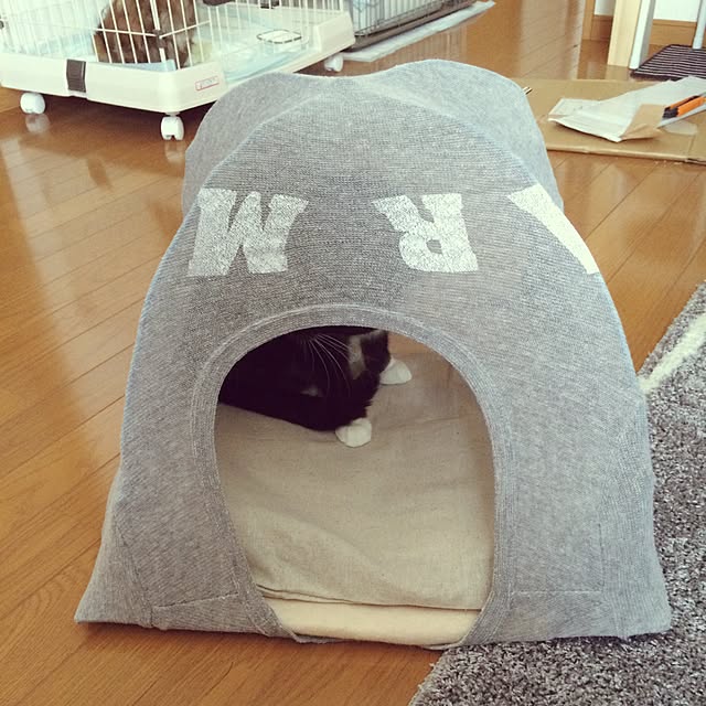 実例写真