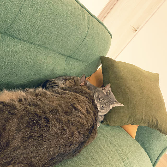 Momoさんの実例写真