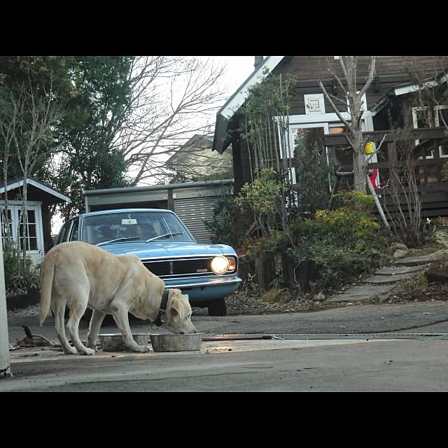 kouskeさんの実例写真