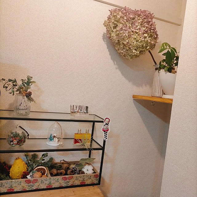 実例写真