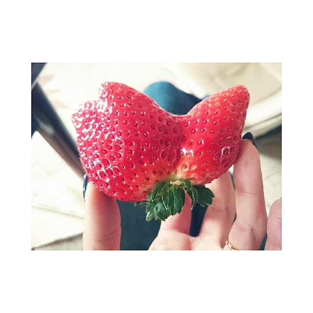 kuuuuuukoさんの実例写真