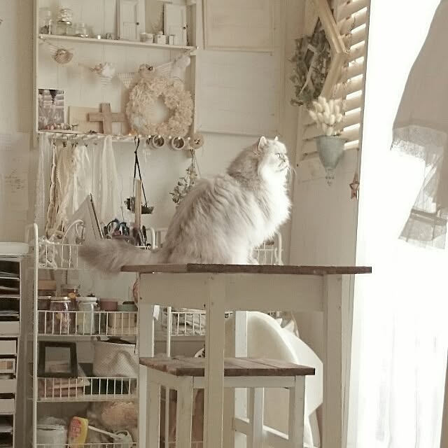 marikoさんの実例写真