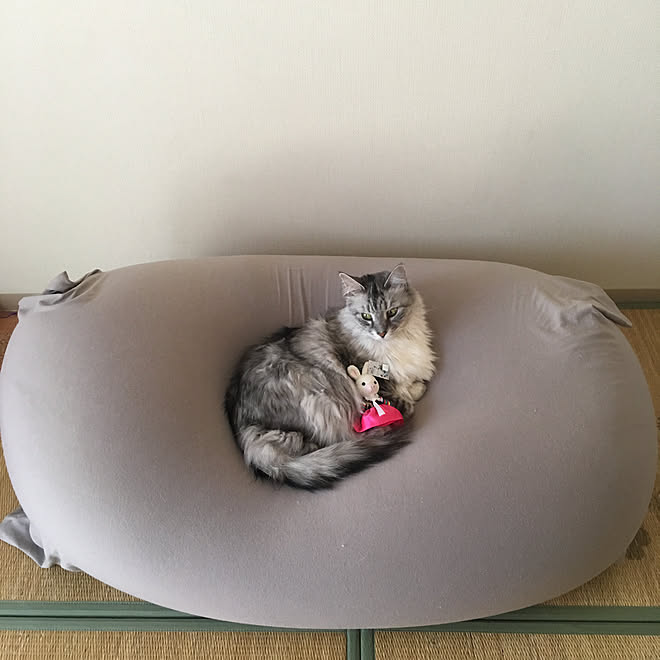 Yogibo Midi ライトグレー