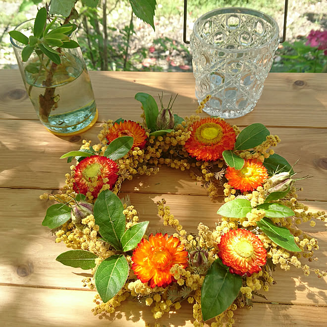 ミモザとオレンジの貝殻草 ドライフラワーハーフリース ミモザドライ