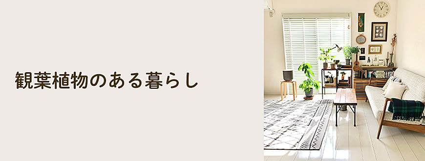 観葉植物のある暮らし