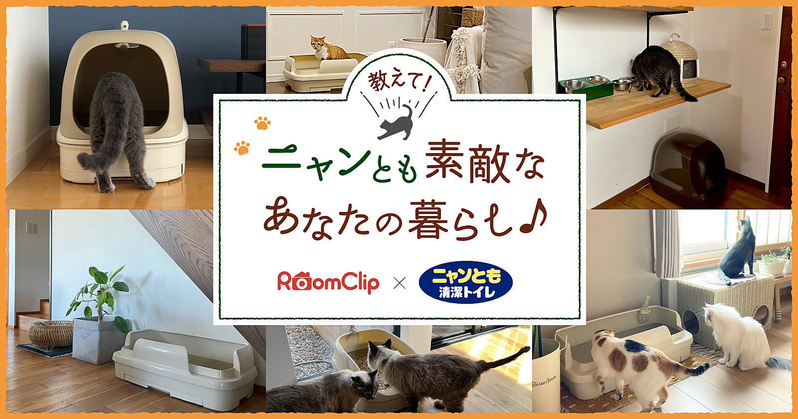 教えて！ニャンとも素敵なあなたの暮らし♪