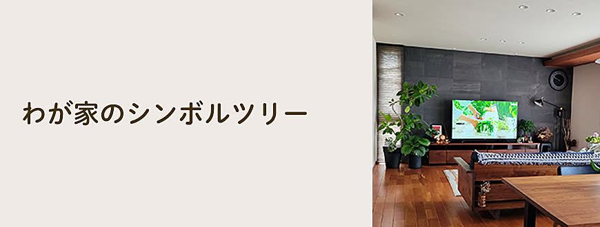 わが家のシンボルツリー