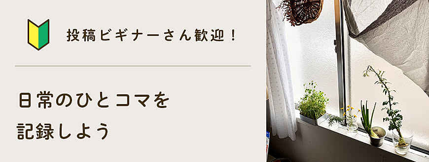 【投稿ビギナーさん歓迎】日常のひとコマを記録しよう