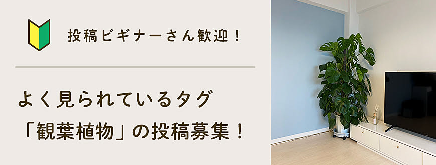 【投稿ビギナーさん歓迎】よく見られているタグ「観葉植物」の投稿募集！