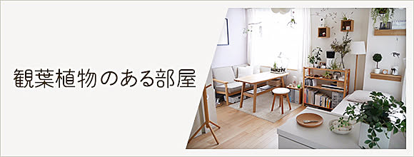 RoomClipのイベント 観葉植物のある部屋
