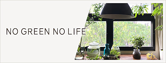 RoomClipのイベント NO GREEN NO LIFE