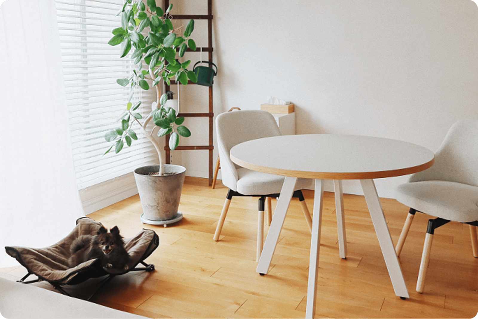 ラージサイズの丸テーブル