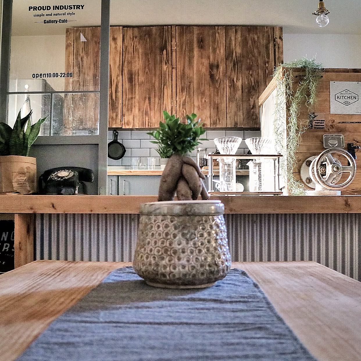 緑のあるお部屋は美しい！育てやすい観葉植物10選