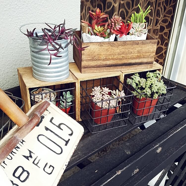 植物の入れ物として
