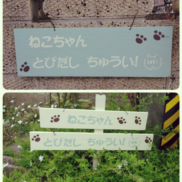 人間にも猫にも嬉しい、日本語の気遣い。