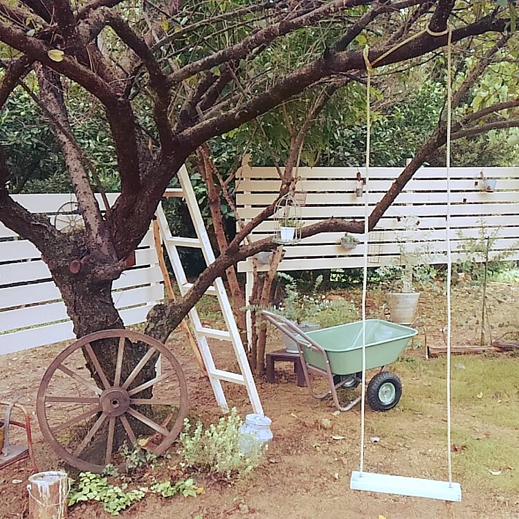 ラダーは室外でも楽しめます