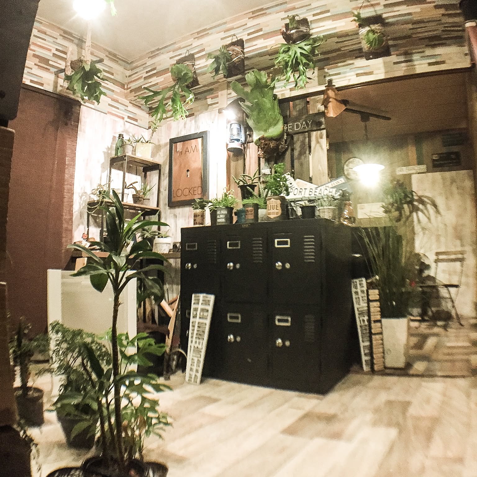植物を主役に みんなに見せたくなるステキなお部屋 Roomclip Mag 暮らしとインテリアのwebマガジン