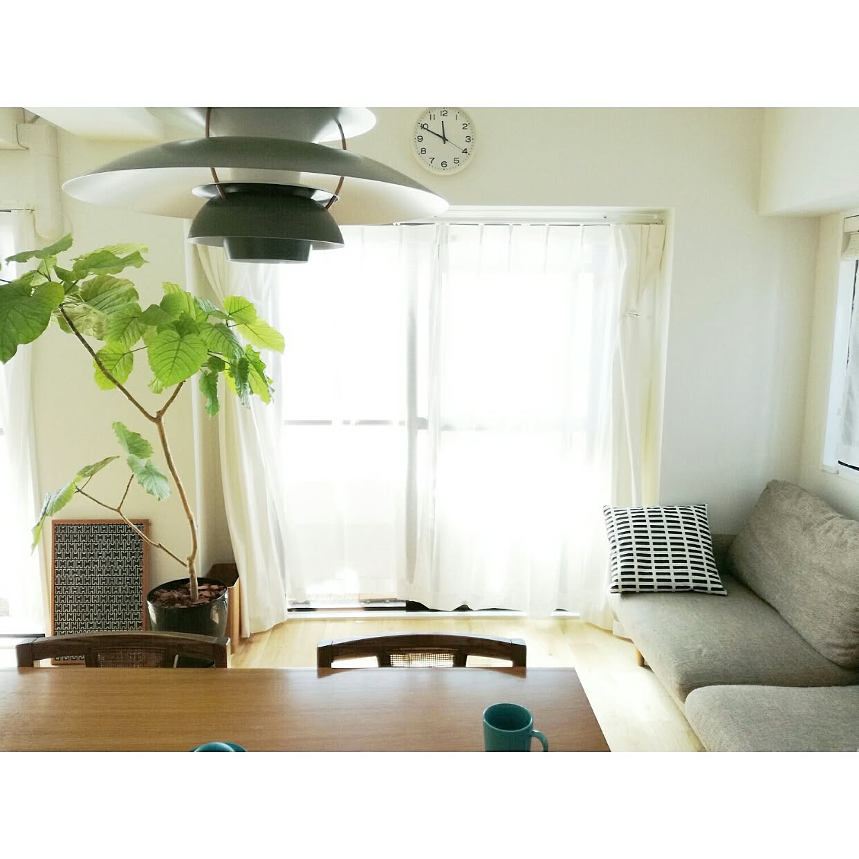 始めようグリーンのある生活☆スタイル別観葉植物の飾り方