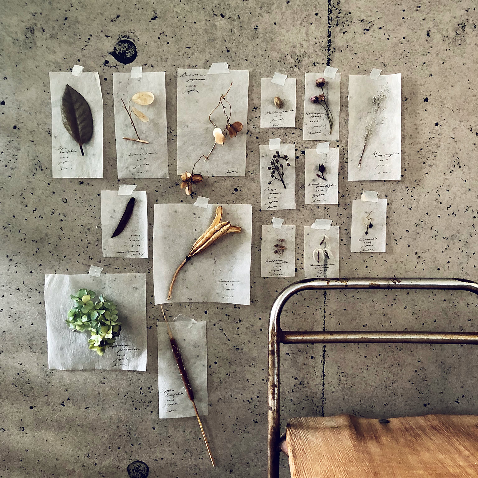 ノスタルジックなボタニカル！植物標本風オブジェの実例集