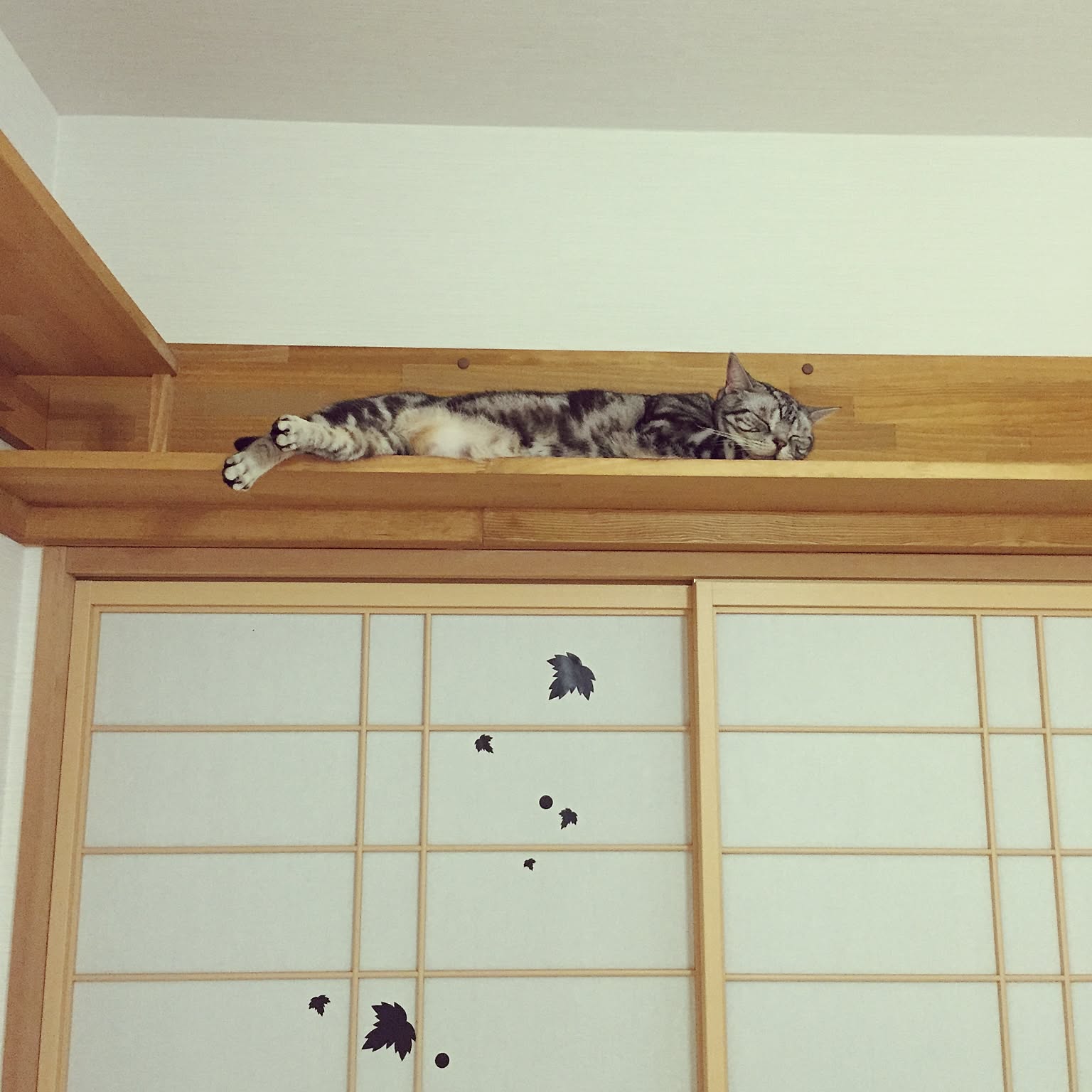 猫が開けた穴をリメイク