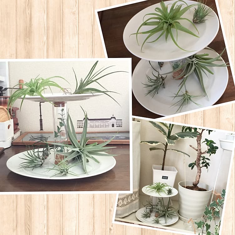 デザイン違いで色々作りたくなる!ケーキスタンドをDIY