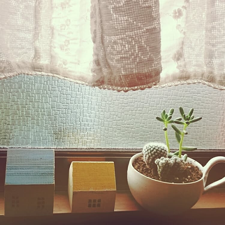 ティーカップに寄せ植えする