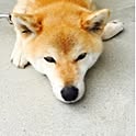 satomin