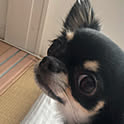 Saaa
