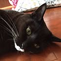 aki