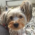 coco.916