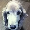 Takayuu
