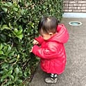 aikoon