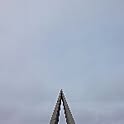 nelo85