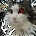hisho.moon