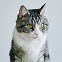 kotaro