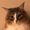 kiki