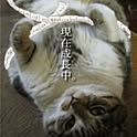 Hiromi
