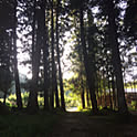 kaoruken