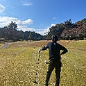 mitsu