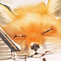 kami_ha