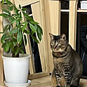 RAKI_Home